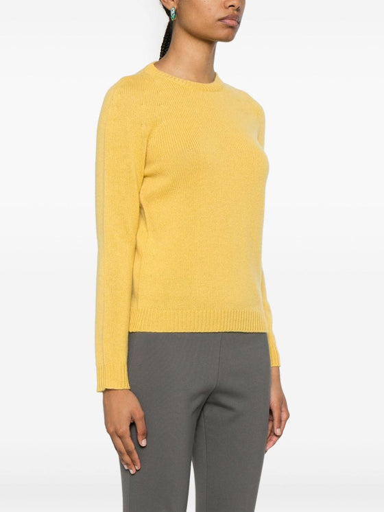 Fabiana Filippi Sweaters Yellow